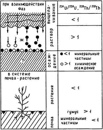 Рис. 5.9. Схема разделения генетически связанных изотопов урана и тория в зоне гипергенеза