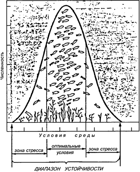 Рис. 8.1. Зависимость численности особей вида от условий среды (закон лимитирующих факторов) (Небел, 1993)