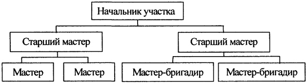 Рис. 1.9. Линейная организационная структура управления
